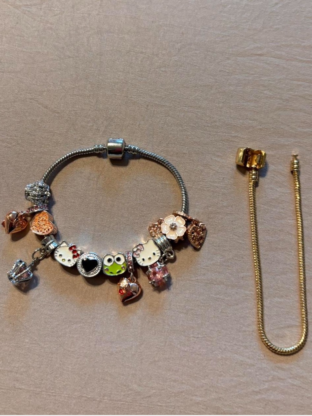 Charm bracelet includes several charms